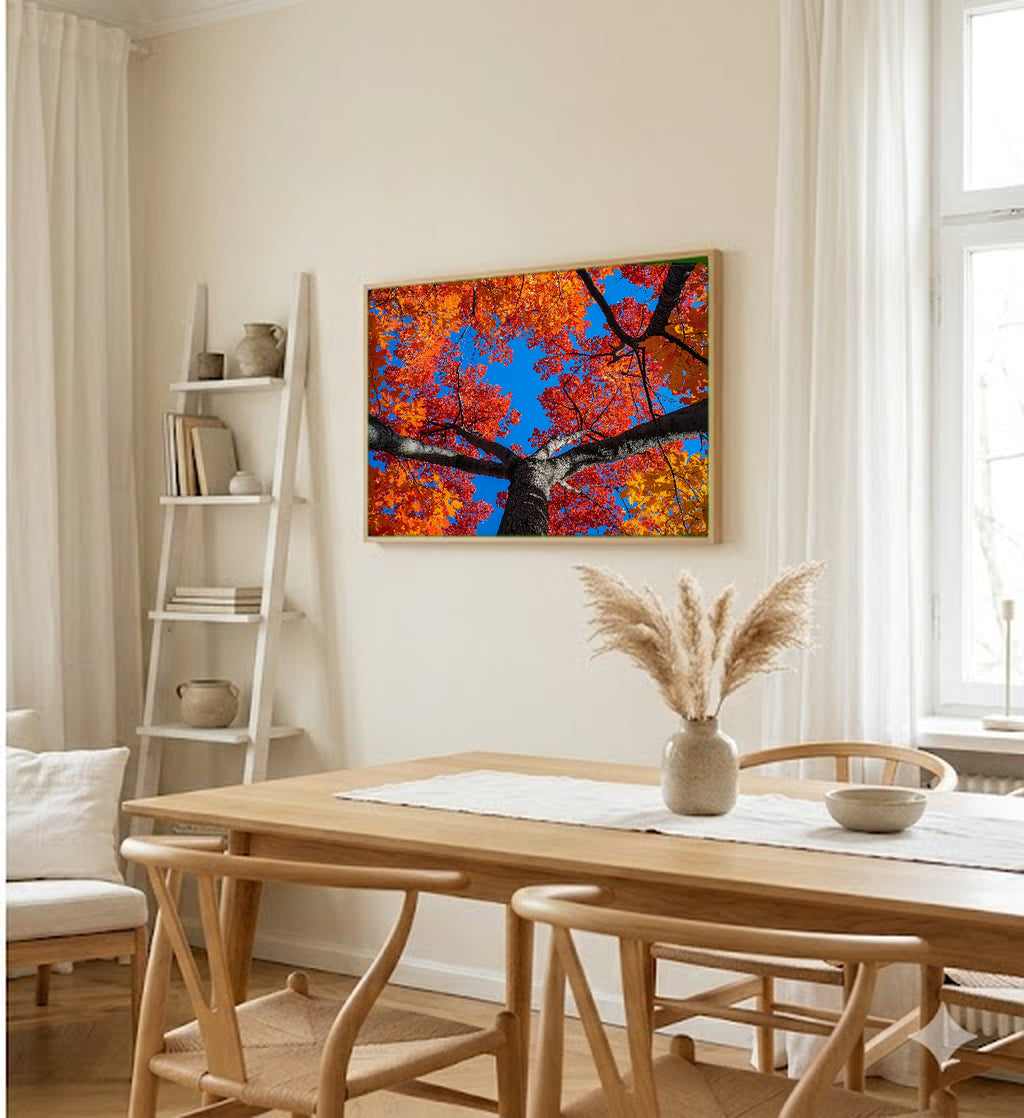 Sugar Maple Canvas Wall Art | Fall Canopy Looking Up Print, New England Decor, Stretched Canvas — sugar-maple-canopy-up-dining-room-wall-art.jpg