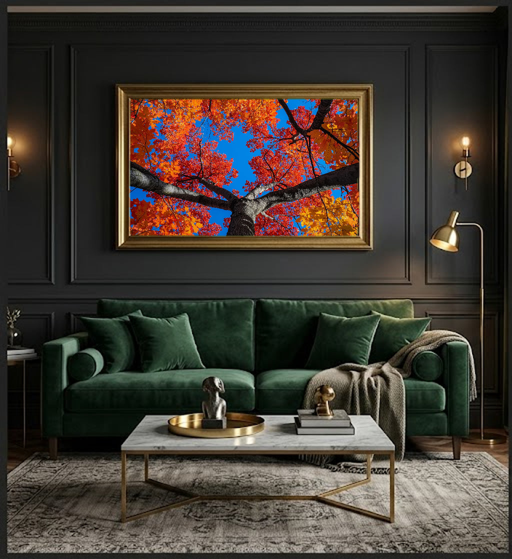 Sugar Maple Canvas Wall Art | Fall Canopy Looking Up Print, New England Decor, Stretched Canvas — sugar-maple-canopy-up-office-wall-art.jpg