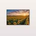 Sunflower Field Canvas Wall Art - Golden Flower Print, Summer Landscape, Farmhouse Decor, Stretched Canvas — sunflower field golden canvas print