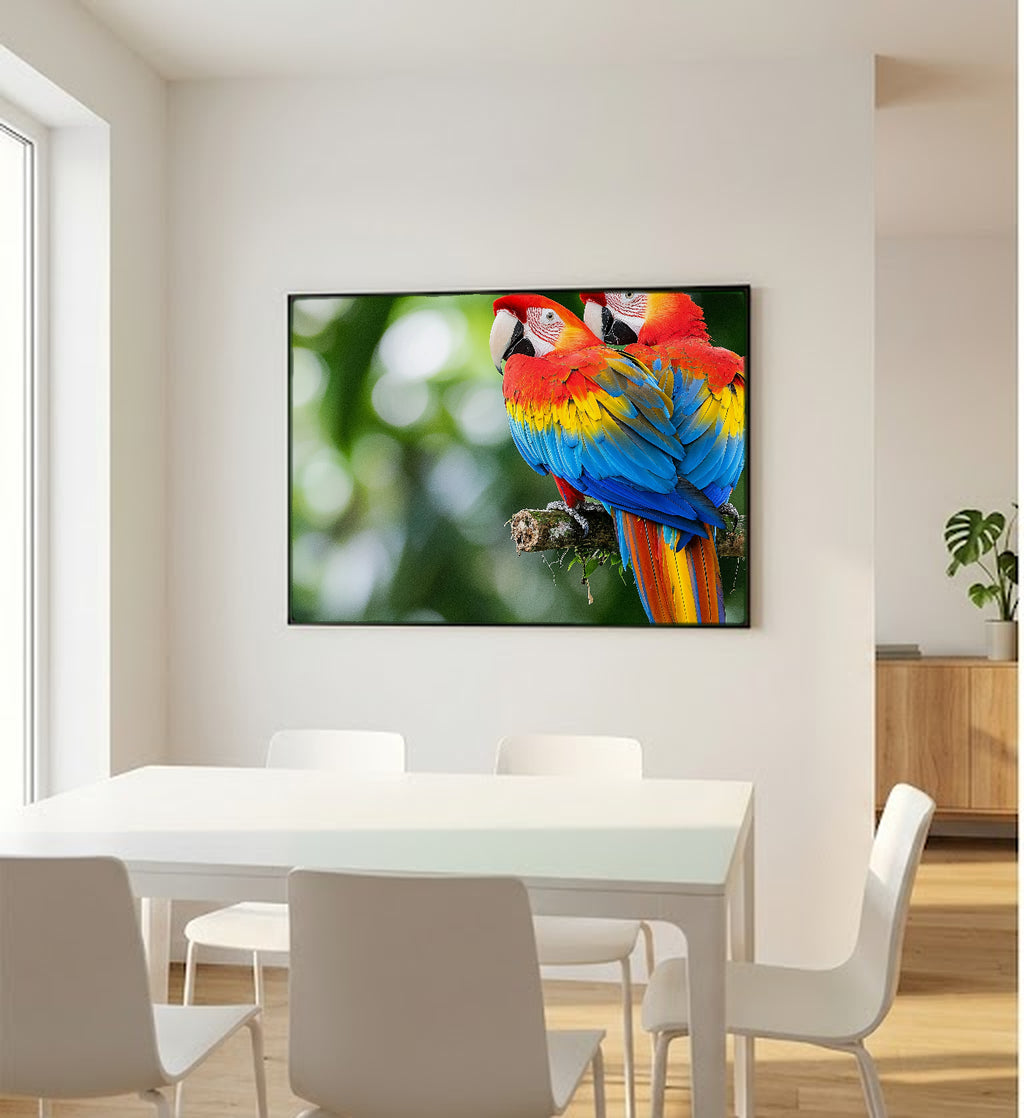 Macaw Pair Canvas Wall Art | Tropical Bird Print, Colorful Parrot, Wildlife Decor, Stretched Canvas — tropical-macaw-pair-bedroom-wall-art.jpg