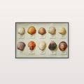 Shell Collection Canvas Wall Art | Watercolor Specimen Print, Coastal Grandma Decor, Stretched Canvas — watercolor-shell-collection-canvas-print.jpg