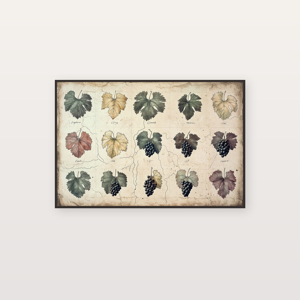 Wine Grape Map Canvas Wall Art | Hand-Drawn Variety Print, Sommelier Kitchen Decor, Stretched Canvas — wine-grape-variety-map-canvas-print.jpg