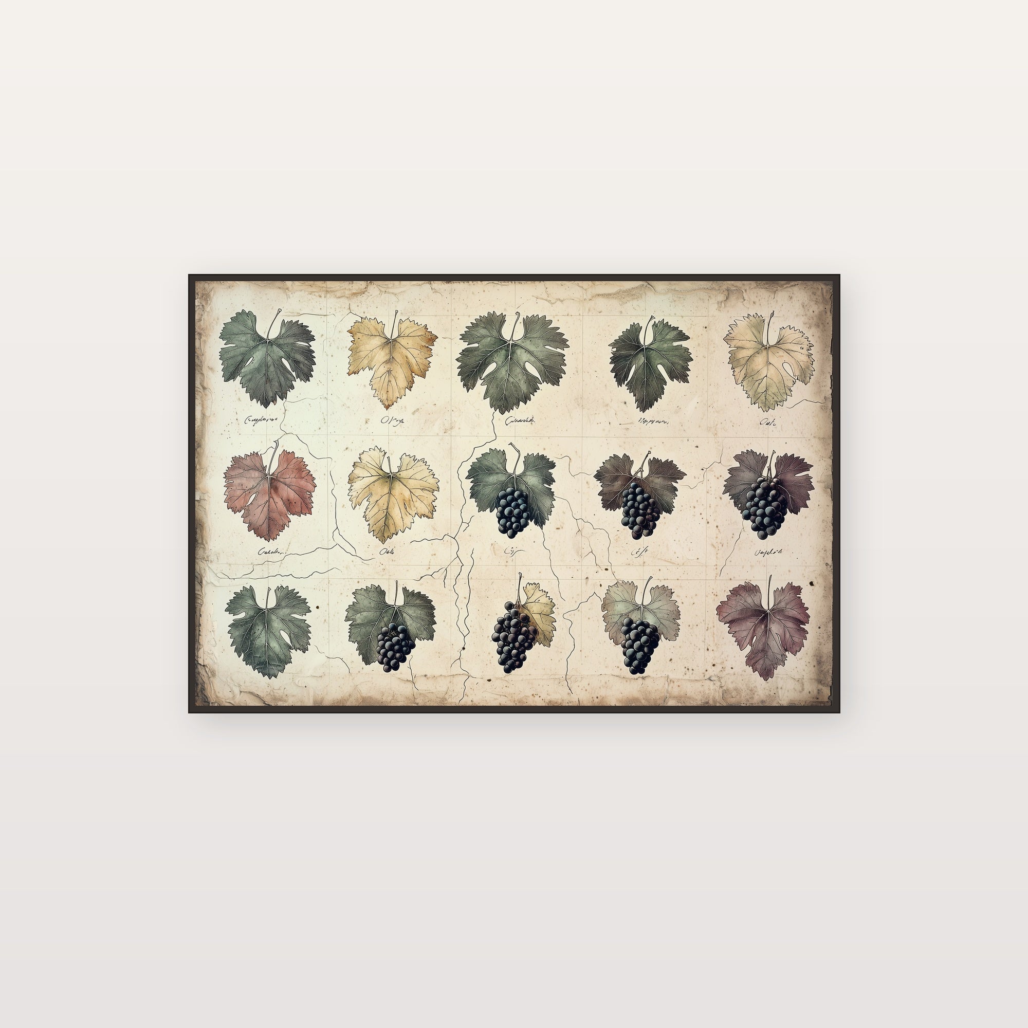 Wine Grape Map Canvas Wall Art | Hand-Drawn Variety Print, Sommelier Kitchen Decor, Stretched Canvas — wine-grape-variety-map-canvas-print.jpg