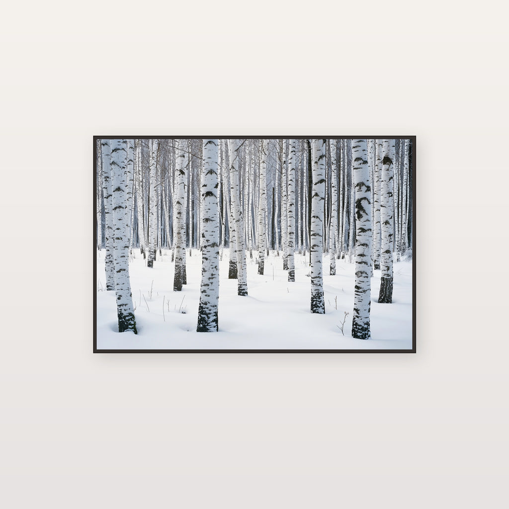 Winter Birch Forest Canvas Wall Art | Snow Scene Print, Scandinavian Decor, Seasonal Art, Stretched Canvas — winter-birch-forest-canvas-print.jpg